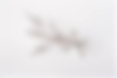 Diamantbrosche zus. ca. 2,00 ct (preview)