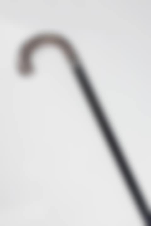 walking stick (preview)