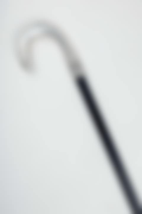 Walking stick (preview)