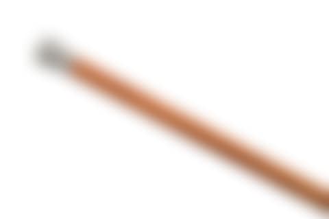A walking stick (preview)