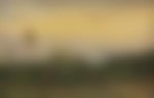 View of Dresden from the Weisser Hirsch at sunset (preview)