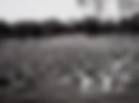 Halensee, Berlin (preview)