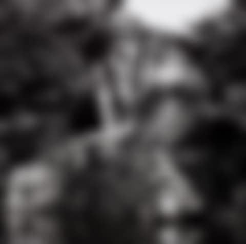 Colosso dell"Appennino, Florence (preview)
