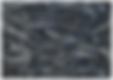 Biomechanical Landscape I; Biomechanische Landschaft I (Biochemical Landscape I) (preview)