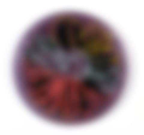 glass plate with polychrome flower decoration (preview)