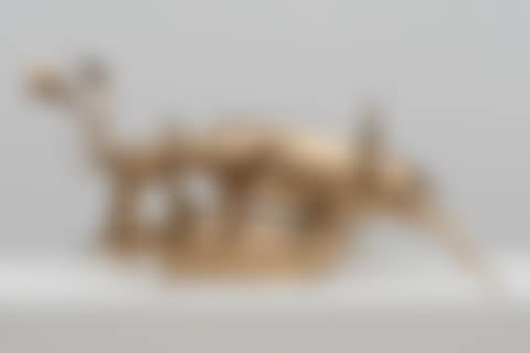 Trophy (preview)