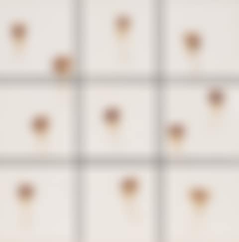 Tiles + Dried Flowers (preview)
