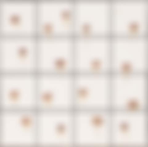 Tiles + Dried Flowers (preview)