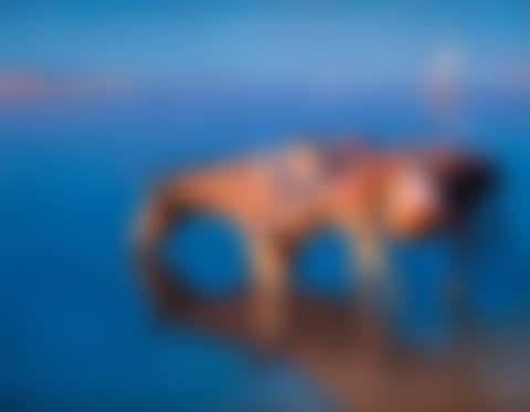 ON THE BANKS OF THE NILE (preview)