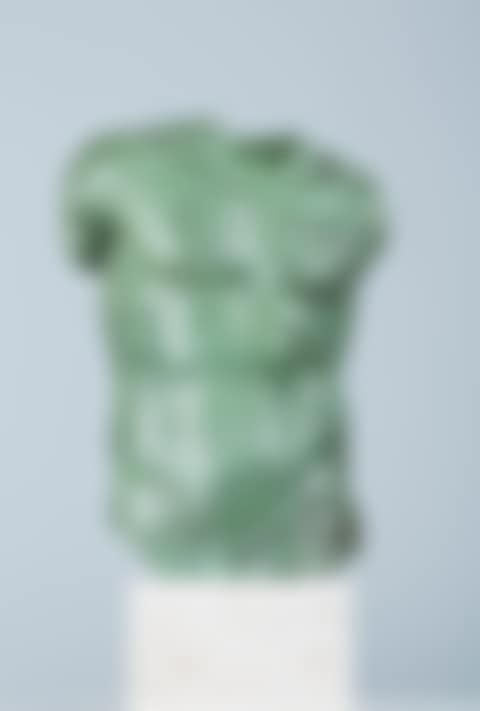 PERSEUS (preview)