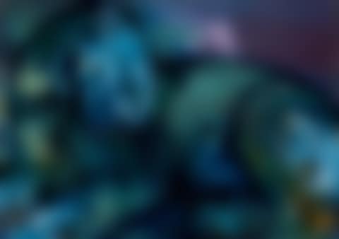 ANIMAL 13-XXXIV (preview)