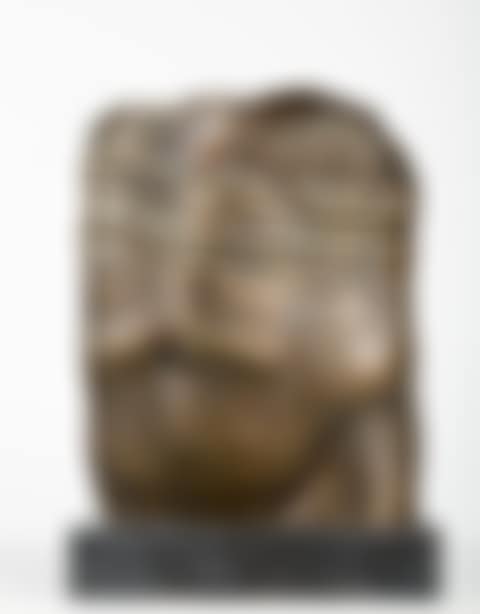 TORSO (preview)
