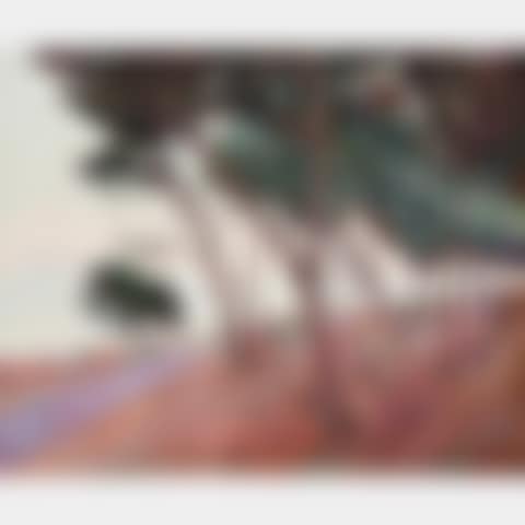 PAYSAGE PRÉSUMÉ DES LANDES (preview)
