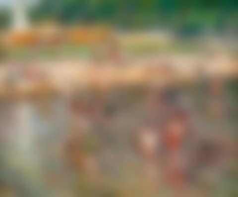 LANDSCAPE WITH FLOATS (preview)