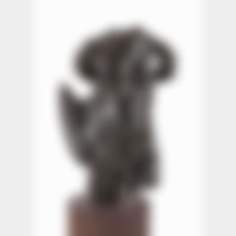 TORSO ALATO (preview)