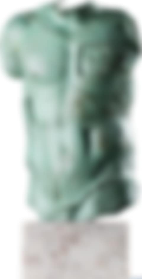 PERSEUS (preview)