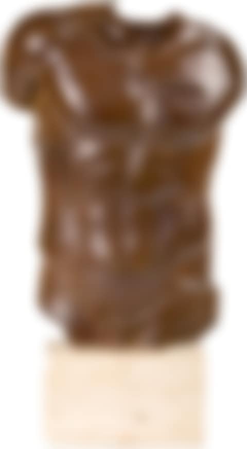 PERSEUS (preview)
