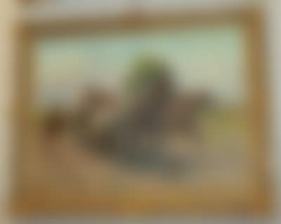 Wilde Fahrt (preview)