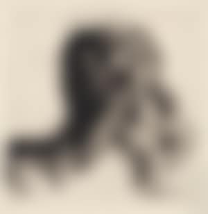 Death and woman (preview)