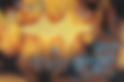 Composition "Biological"-"Stone" (preview)