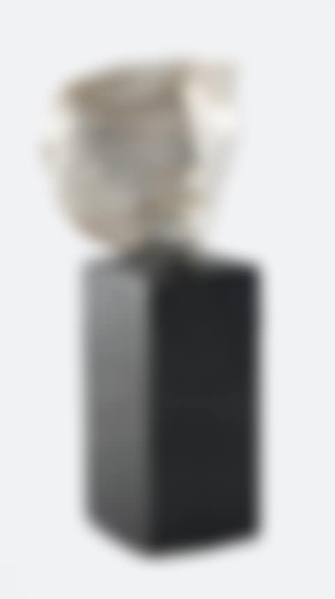 The Veiled Face (preview)