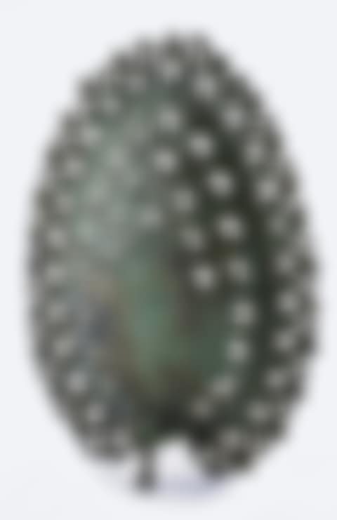 Peacock (preview)