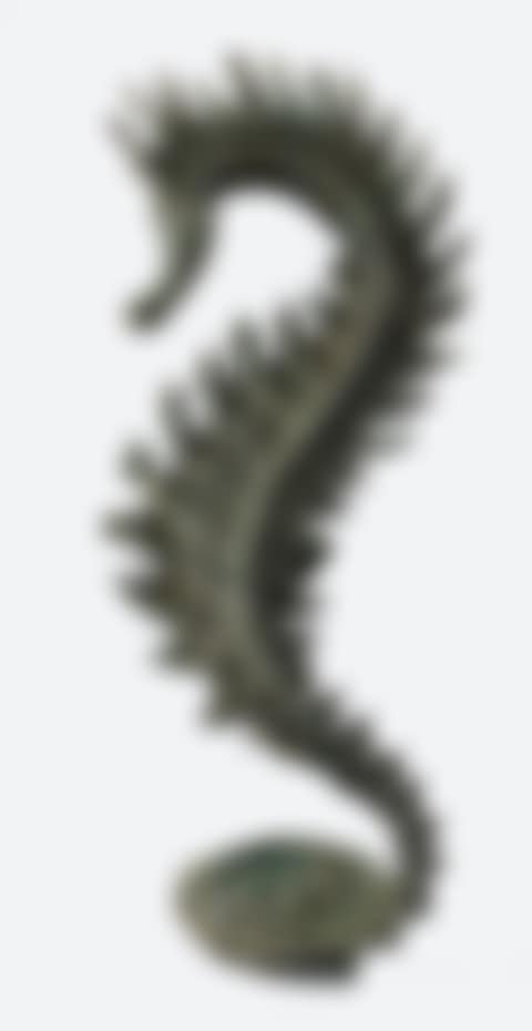 Seahorse (preview)