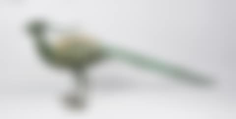 Peacock (preview)