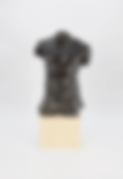 Torso (preview)
