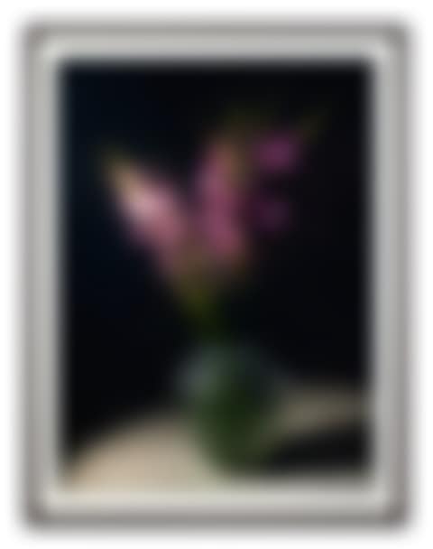 Gladiolen (preview)