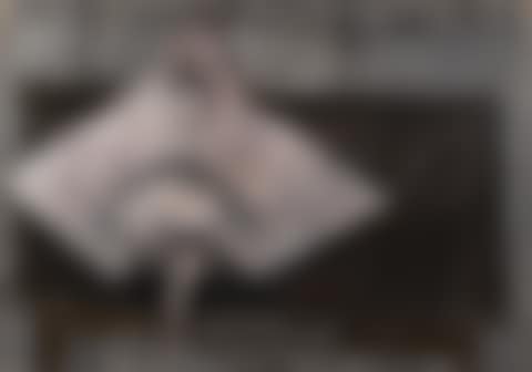 Nature Morte à la raie (preview)