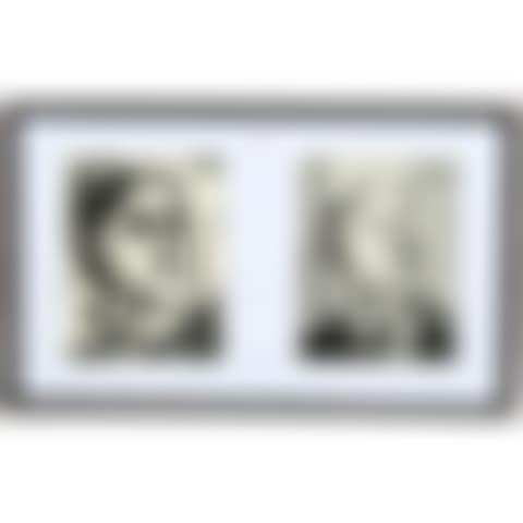 2 photo specimens; Man Ray issue (preview)