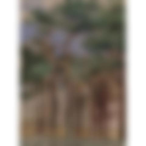 Scots Pines (preview)