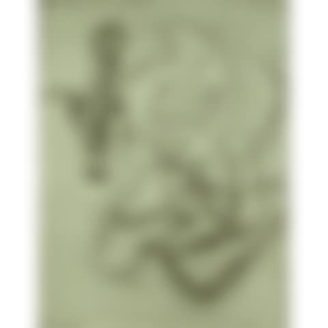 lithograph; abstract (preview)