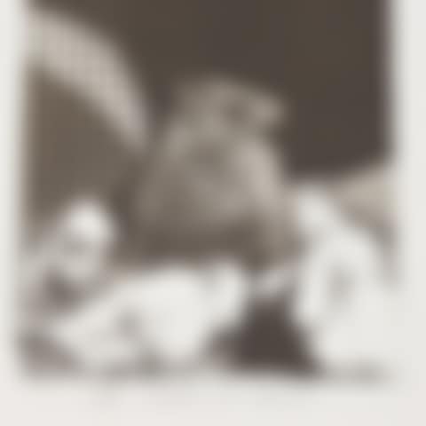 Sleep overcomes them (preview)