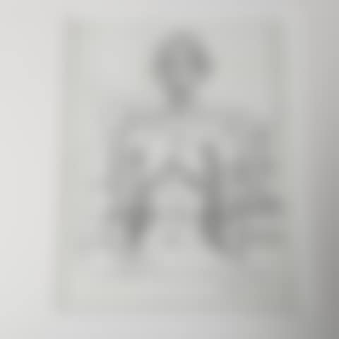 figure study (preview)
