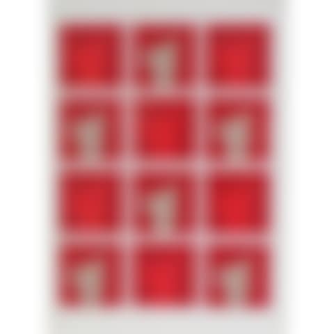Photographic contact plates (preview)