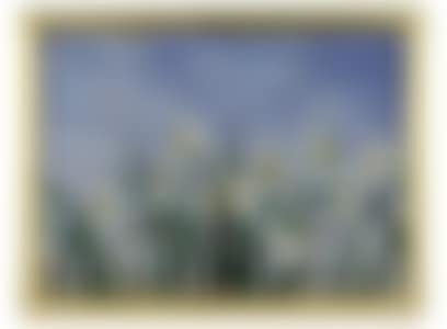 Jonquils Against the Sky (preview)