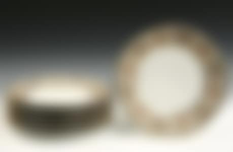 8 French Dinner Plates (preview)