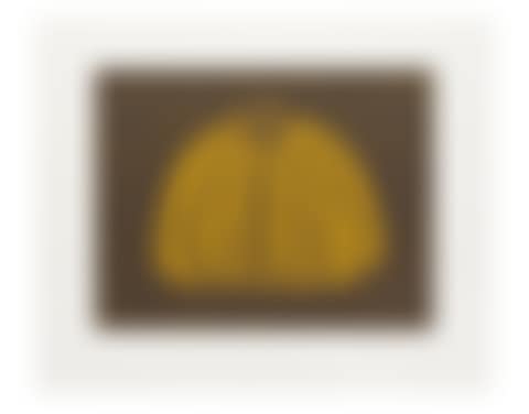 Pumpkin (YY) (Kusama 231) (preview)