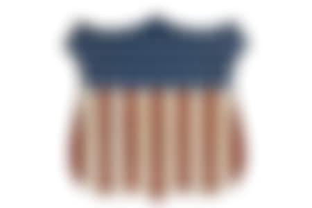 PATRIOTIC SHIELD (preview)