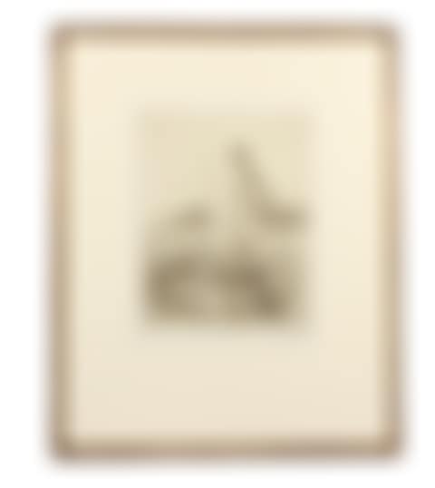 The swan (preview)