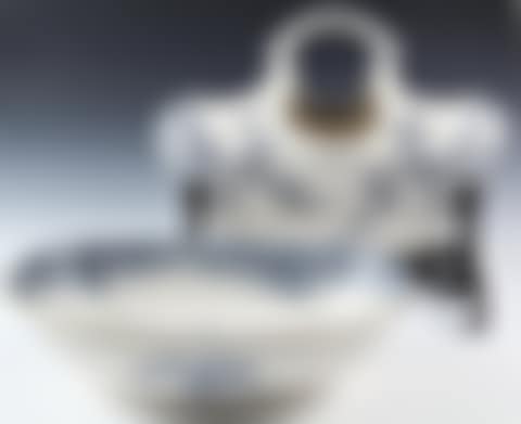 Royles Patent Toilet Aquarius (preview)