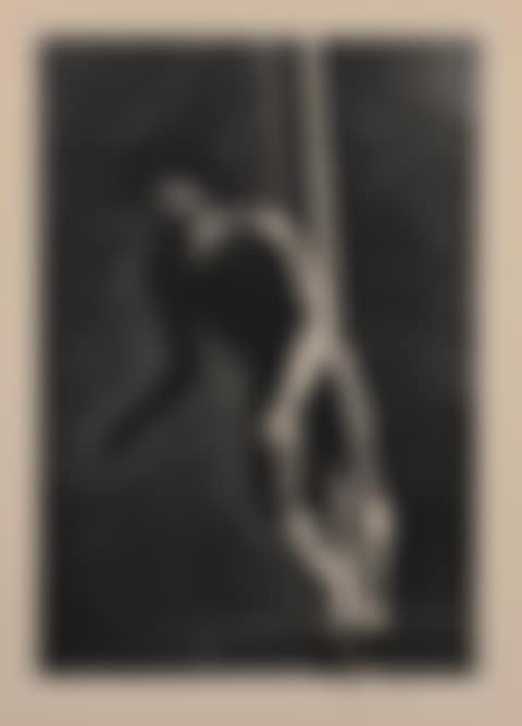 "The Diver" (preview)
