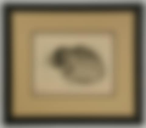 Sleeping Cat (preview)