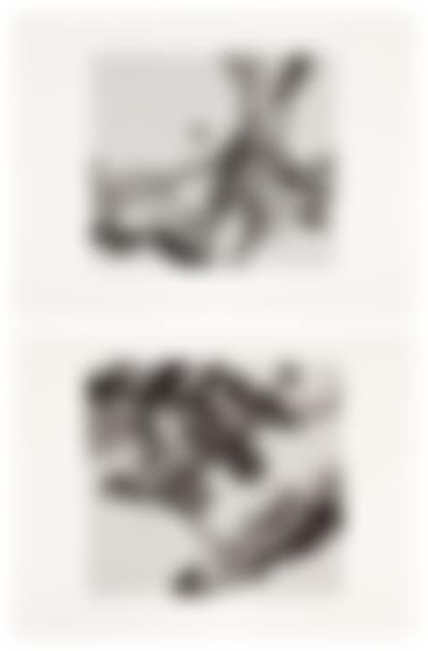 Untitled; and Untitled (preview)