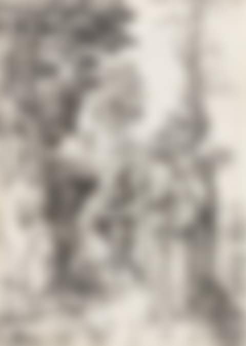 The Raising of Lazarus (preview)