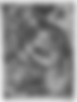 The penitent Mary Magdalene (preview)