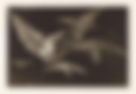 Modo de Volar (preview)
