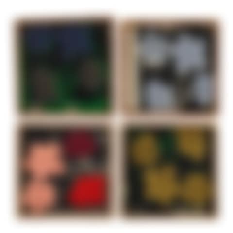 Andy Warhol, "Flowers" (preview)